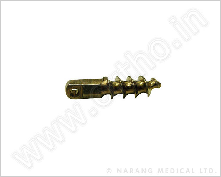 Anchor Screw - Titanium