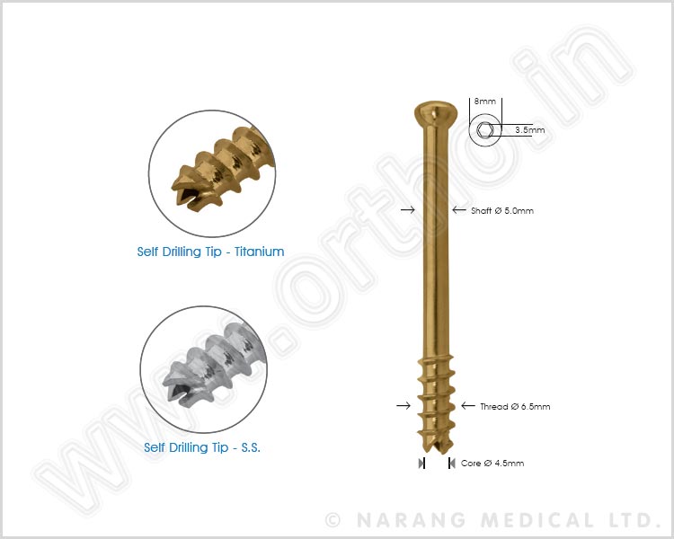 Cancellous Cannulated Screw Ø 6.5mm 16mm Thread
