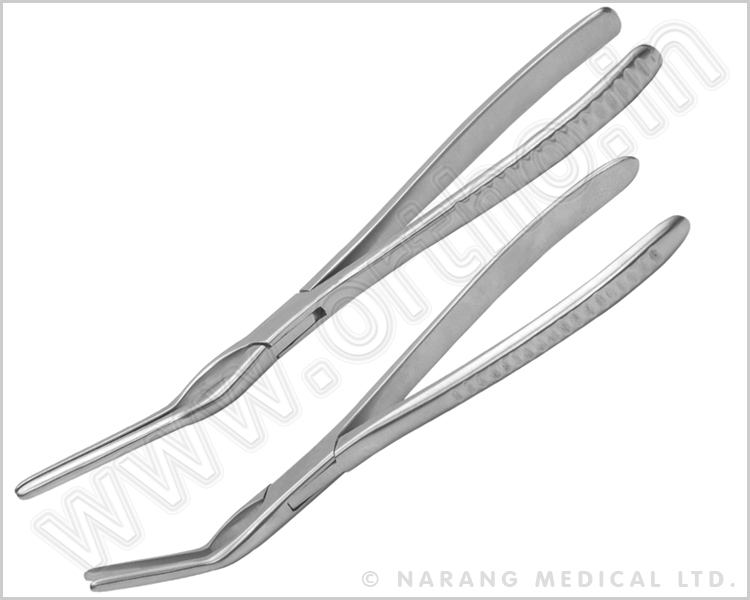 Asch Nasal Septum Forceps