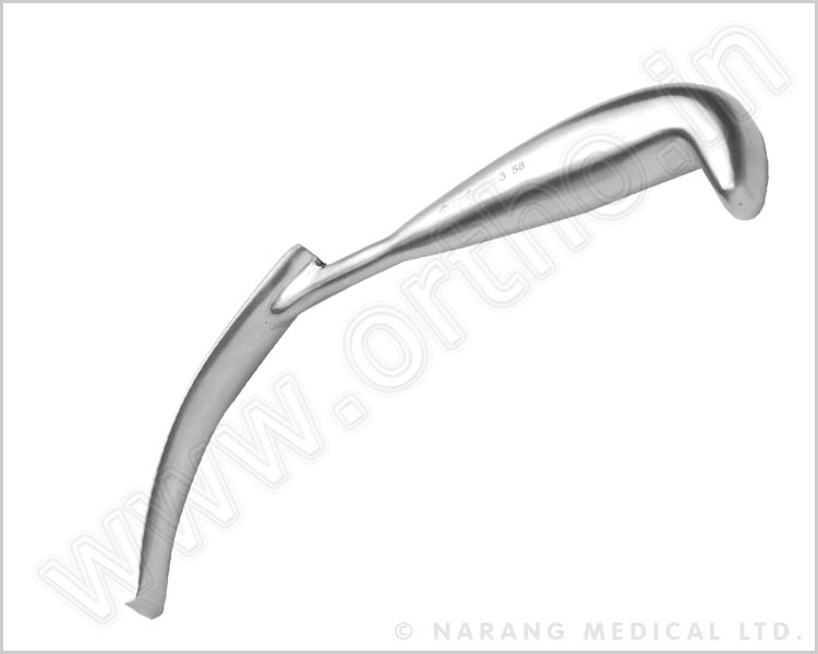 Rayne Mandibular Retractor