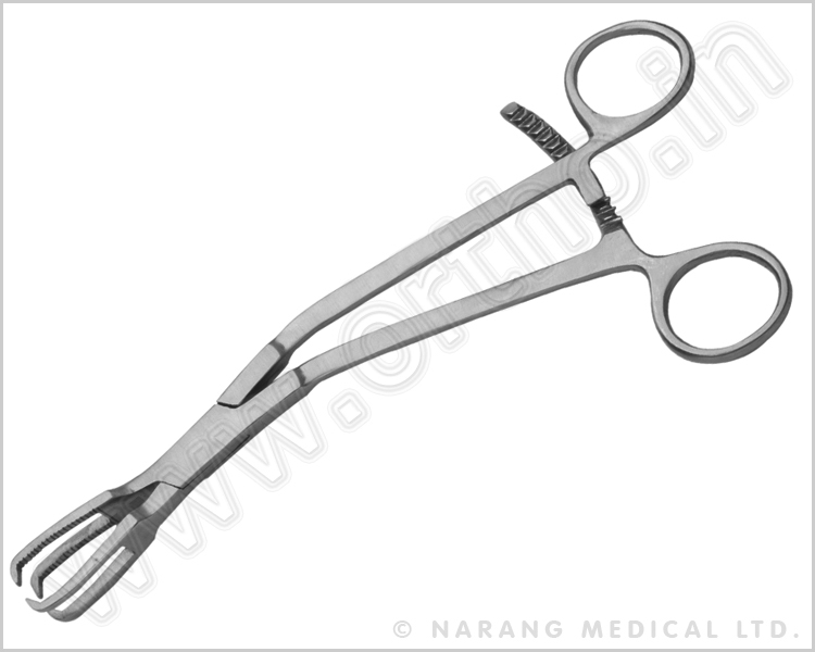 Chin Segment Forceps