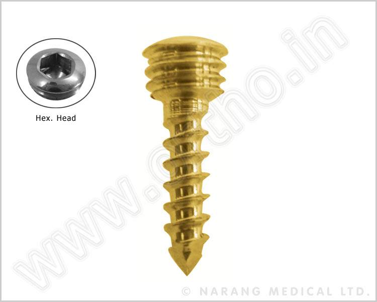 Safety Lock Screw Ø 2.7mm