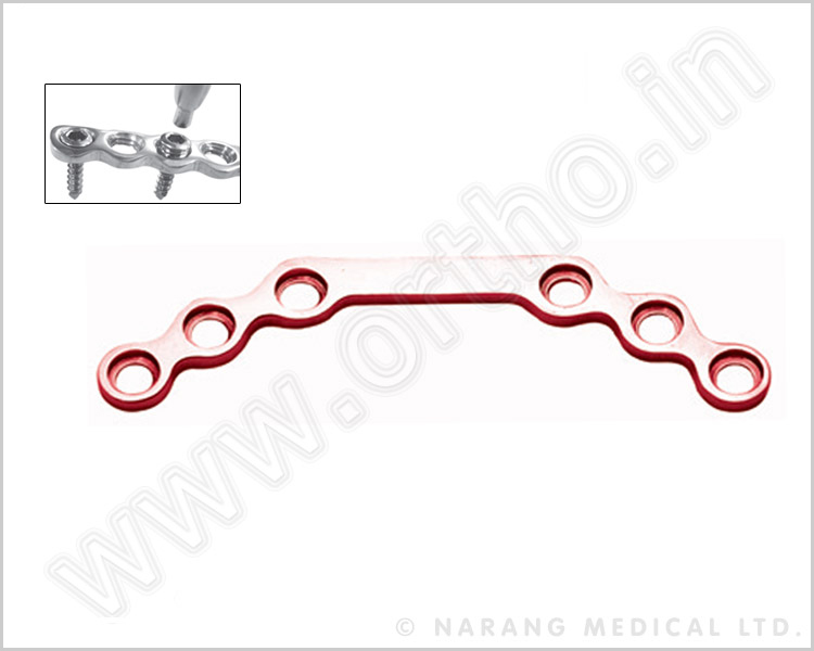 Orbital Plate - Curved