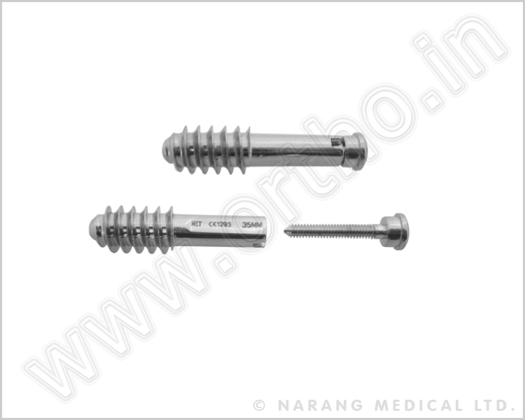 Pediatric Lag Screw with Compression Screw
