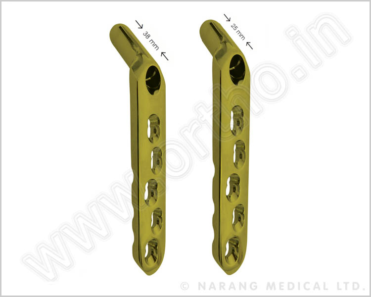 DHS Safety Lock Plate - 38mm Barrel & Short Barrel