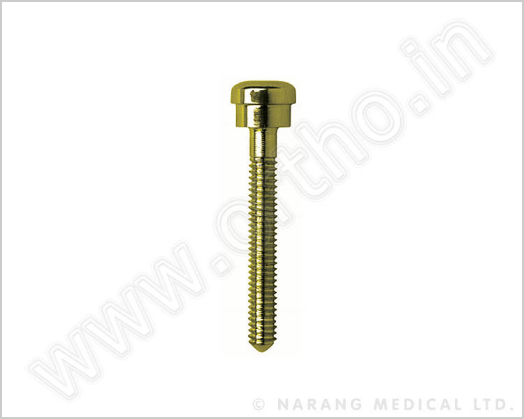 Compression Screw (for use with Dynamic Hip Compression Plates)
