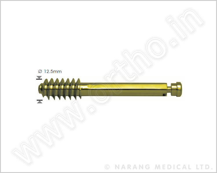 Standard Lag Screw, Ø 12.5mm (with Compression Screw)