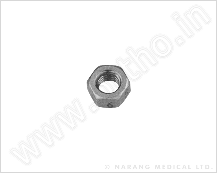 Hex Nut M6 (Thickening), SS