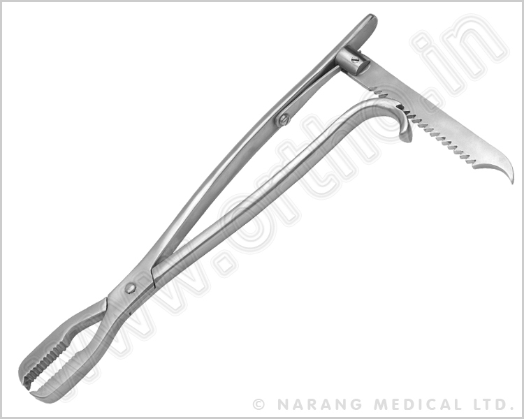 Lane Bone Holding Forceps with Ratchet