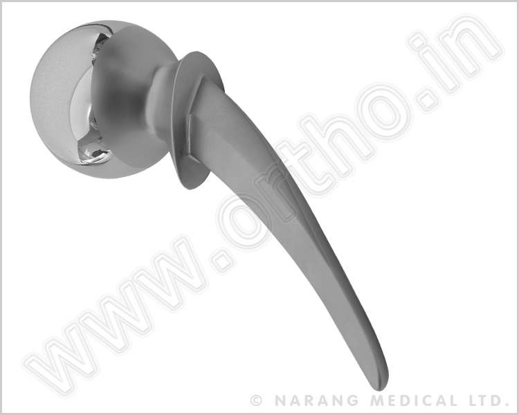 Thompson Hip Prosthesis - Excel Stainless Steel (Standard Stem)