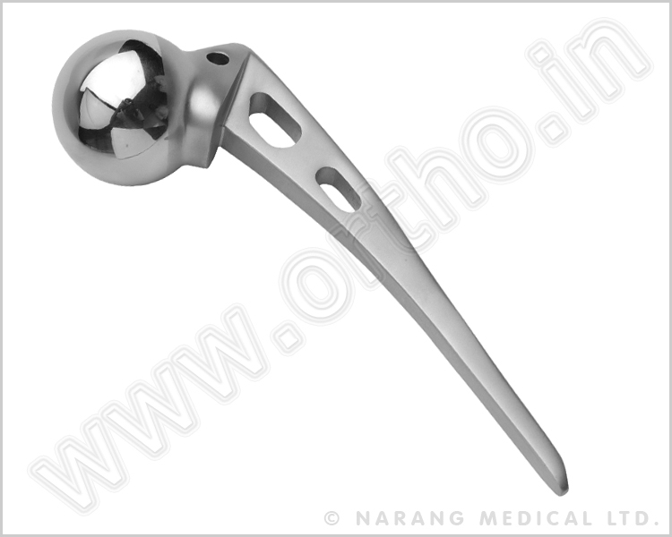 Austin Moore Hip Prosthesis – Excel Stainless Steel (Standard Stem)