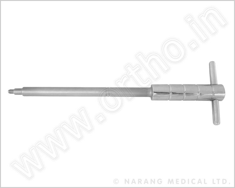 Rasp Stem Introducer