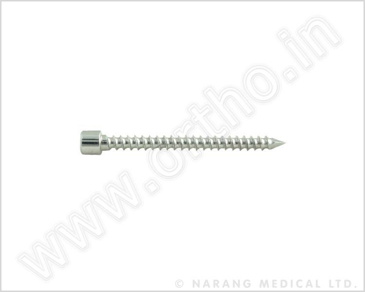 Femoral Cutting Screw