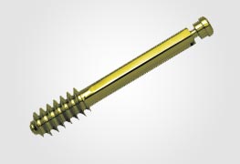 Lag Screw