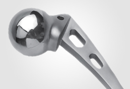 Hip Prosthesis - Manufacturer and supplier of orthopaedic implants