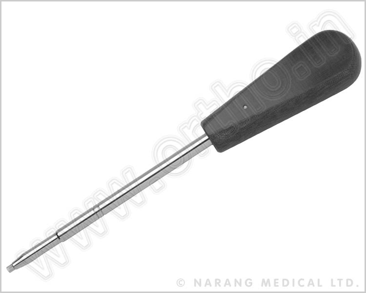 301.050 - Large Hexagonal Screw Driver 3.5mm Tip