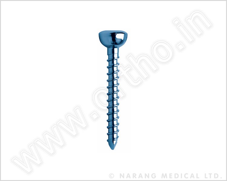 Humeral Nail Locking Bolt Ø 3.9mm (Self Tapping)