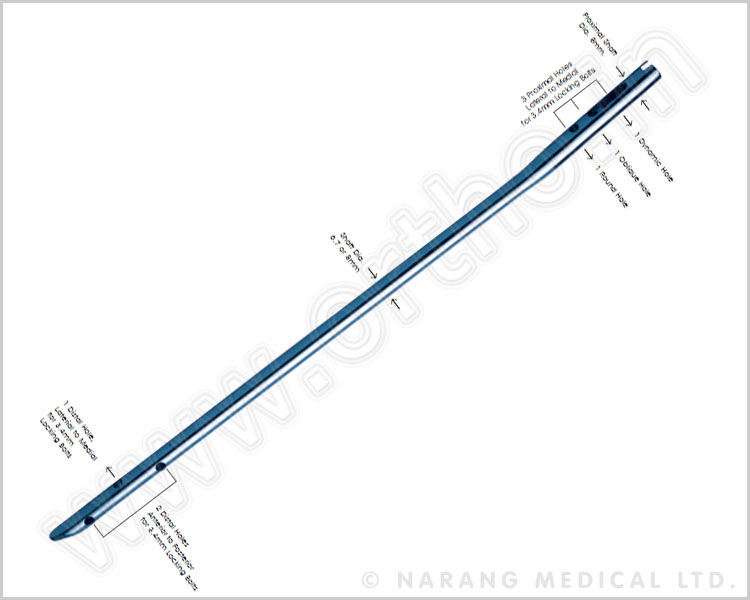 HUMERAL Nail - Unreamed