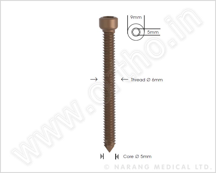 Locking Bolt, Ø 6mm (Self Tapping)