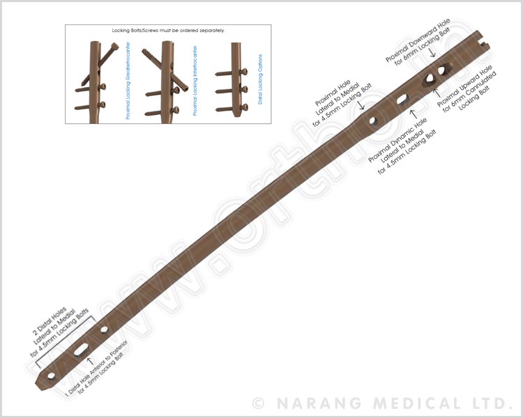 Multi-Fix Femoral Nail - Cannulated, with Multiple Locking Options