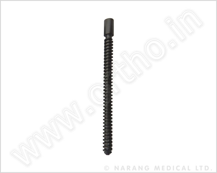 NET-TAN - Lag Screw 7.0mm