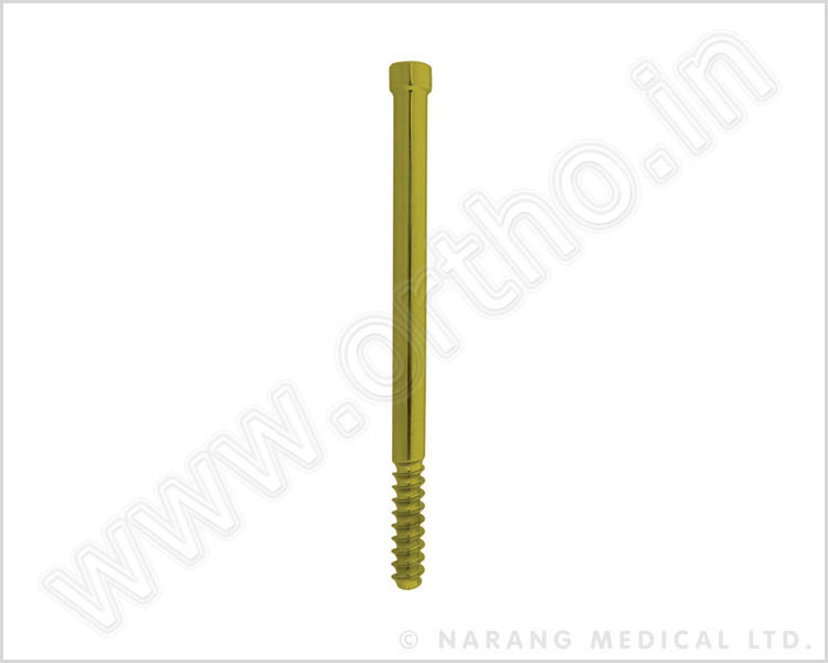 Hip Screws, Ø 6.35mm for Recon Locking