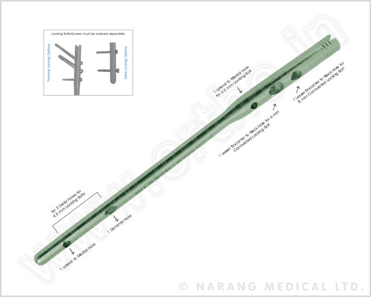 Proximal Femoral Nail (PFN)