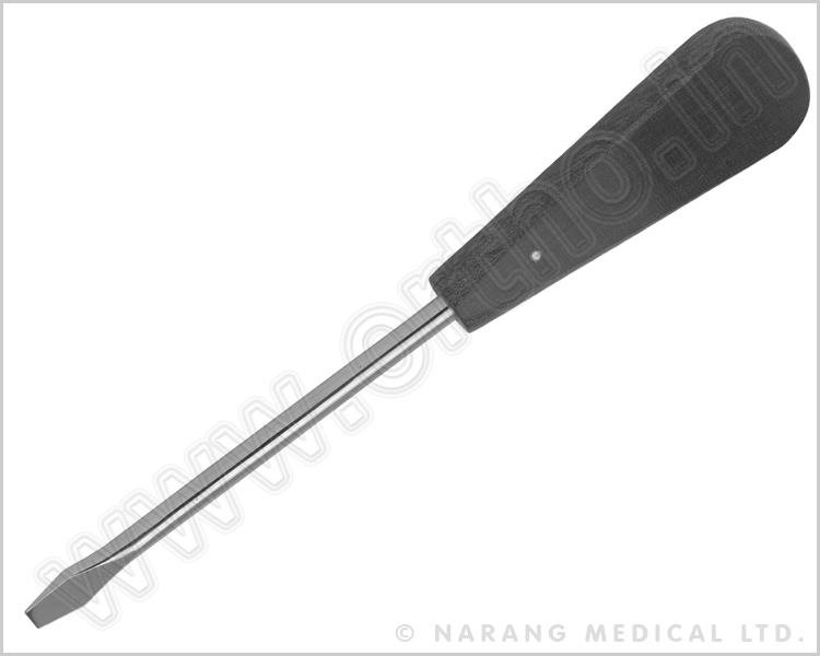 301.010 - Lane Screw Driver