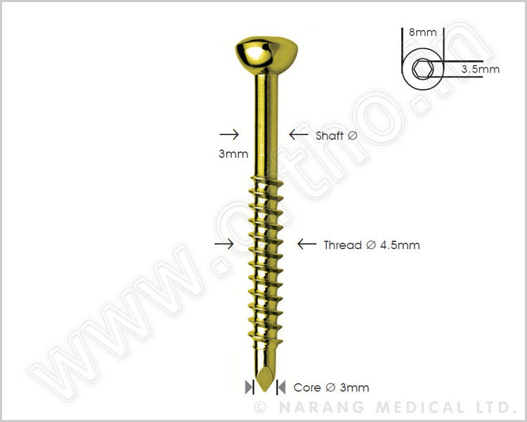 Malleolar Screw Ø 4.5mm