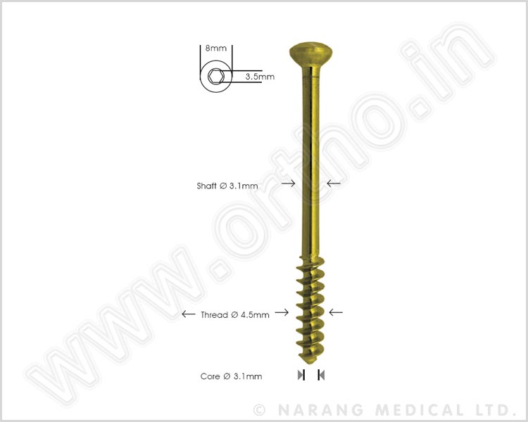 Cancellous Bone Screw 4.5mm Short Thread