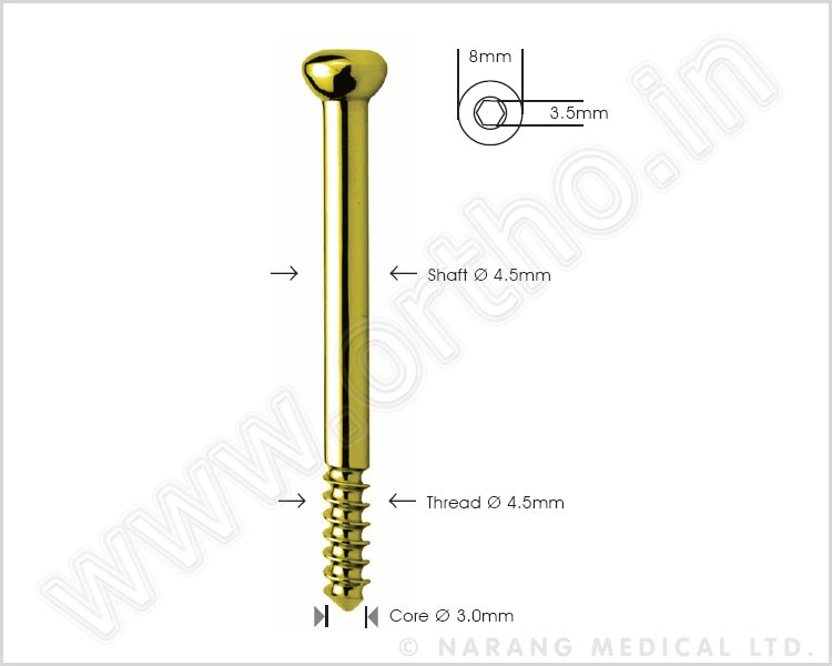 Shaft Screw Ø 4.5mm
