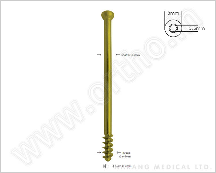 Cancellous Bone Screw Ø 6.5mm, 16mm Thread