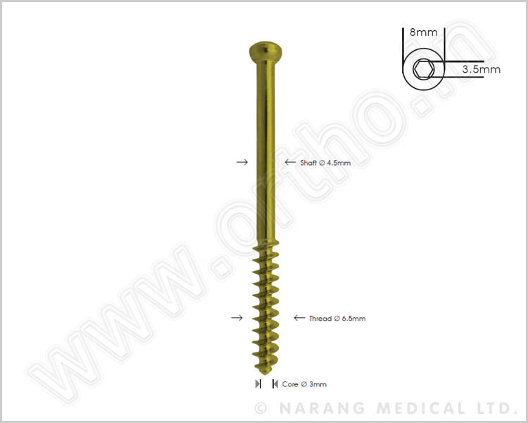 Cancellous Bone Screw Ø 6.5mm, 32mm Thread