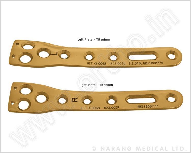 Distal Tibial Plate
