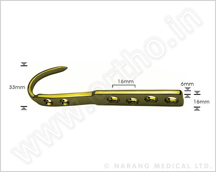 Hook Plate 4.5