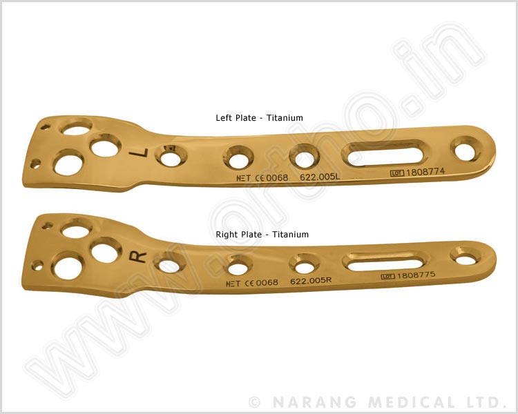 Proximal Lateral Tibial Plate