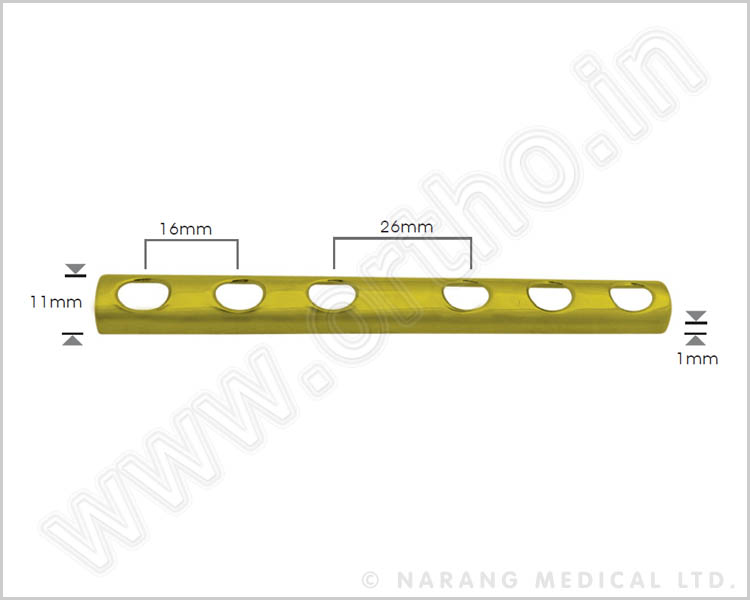 Broad LC-DCP Plate 4.5