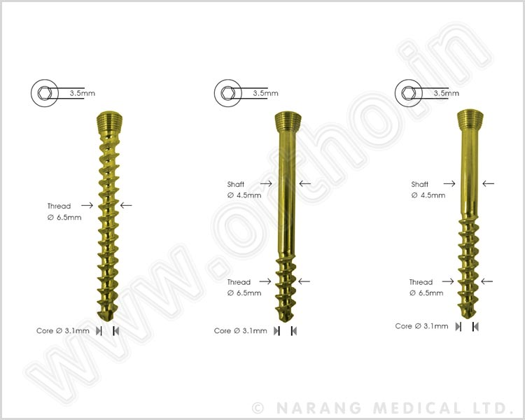 Cancellous Safety Lock Screw Ø 6.5mm