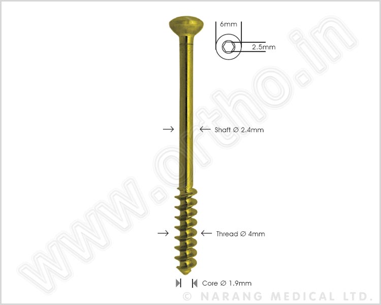 Cancellous Bone Screw Ø 4.0mm Short-Thread - Self Tapping