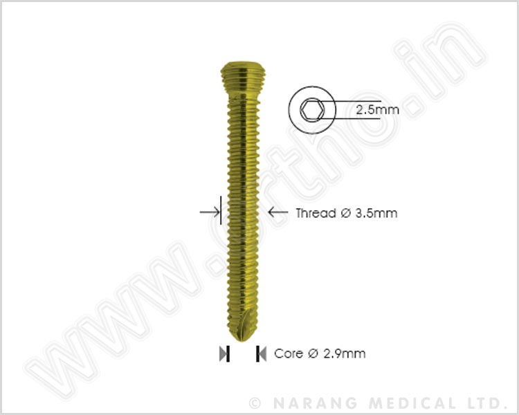 Safety Lock Screw  Ø 3.5mm Self Tapping