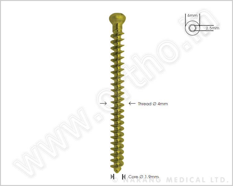 Cancellous Bone Screw Ø 4.0mm, Full-thread