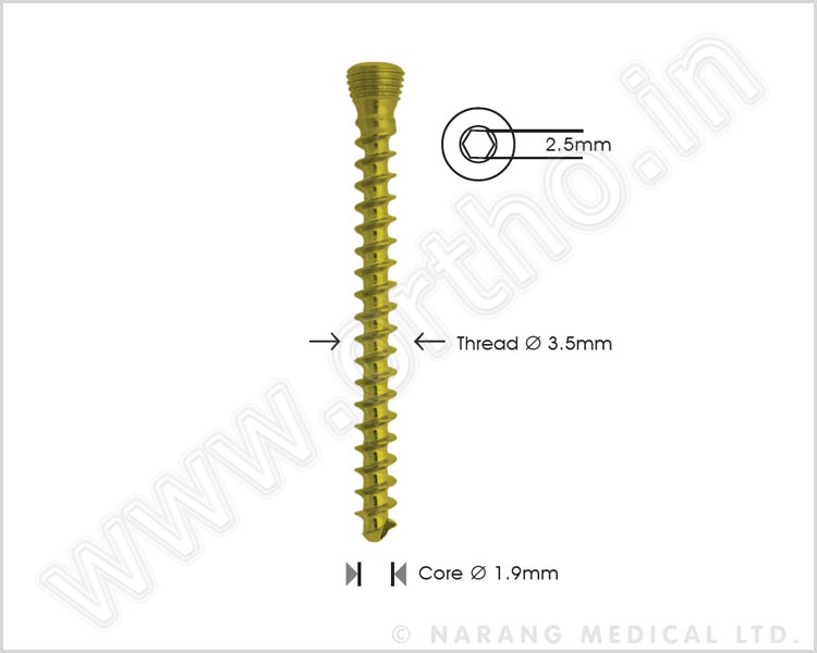 Cancellous Safety Lock Screw Ø 3.5mm - Self Tapping