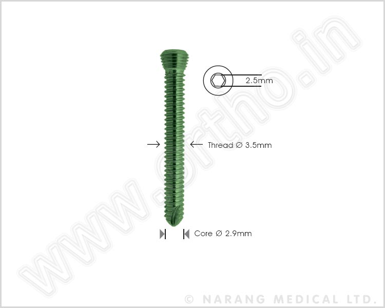 Safety Lock Screw Ø 3.5mm - Self Tapping