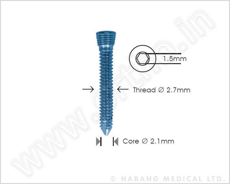 Safety Lock Screw Ø 2.7mm - Self Tapping