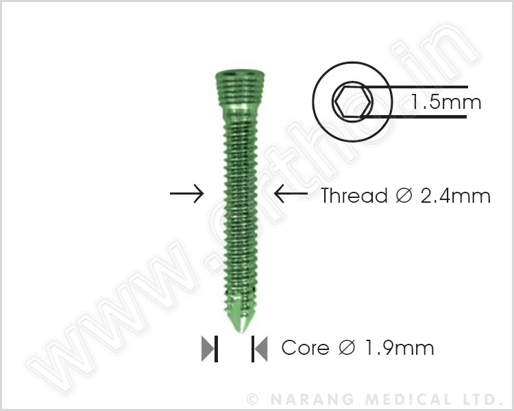 Safety Lock Screw Ø 2.4mm - Self Tapping