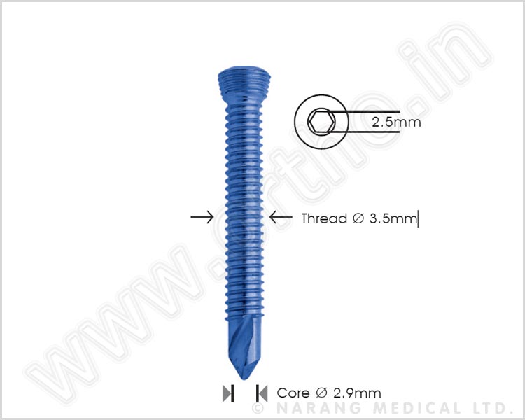 Safety Lock Screw Ø 3.5mm Self Tapping and Self Drilling