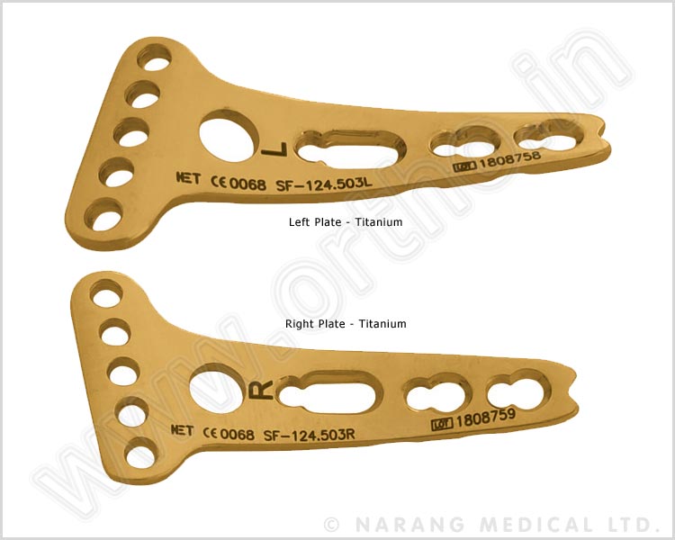 Volar Distal Radius Buttress Safety Lock Plate 2.4, Juxta-Articular (5 Head Holes)