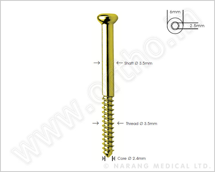 Shaft Screw Ø 3.5mm